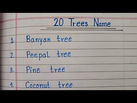 20 Trees Name In English | Different Types Of Trees Name In English