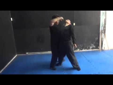 Bujutsu Nijutsu Arts of War Kempo Samurai