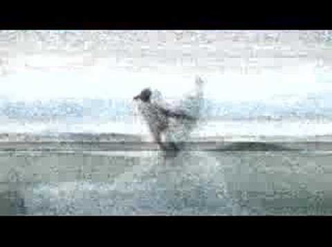 Flavours New Trailer