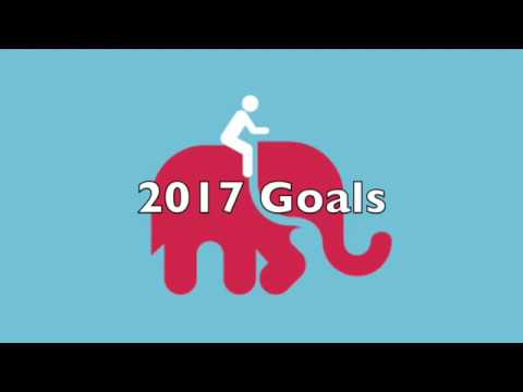STB 2017 Goals   Rider & Elephant
