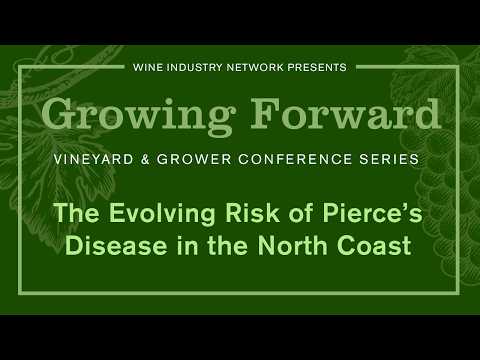 Growing Forward: The Evolving Risk of Pierce’s Disease in the North Coast