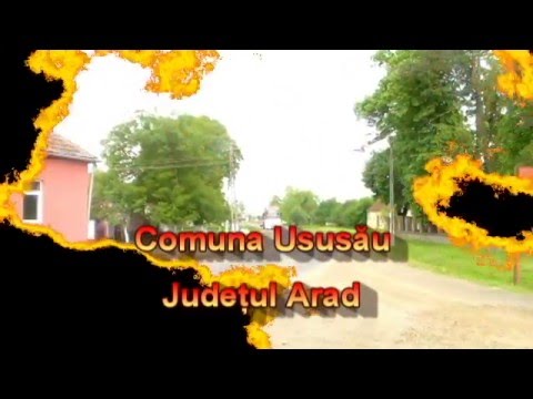 USUSĂU   JUD ARAD