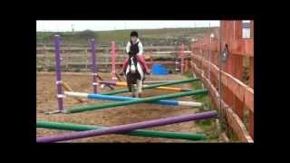 preview picture of video 'Jumping ponies with no reins'