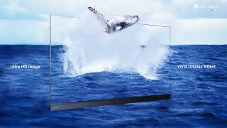 QSTECH X WALLPlus LED All-in-one Display Terminal