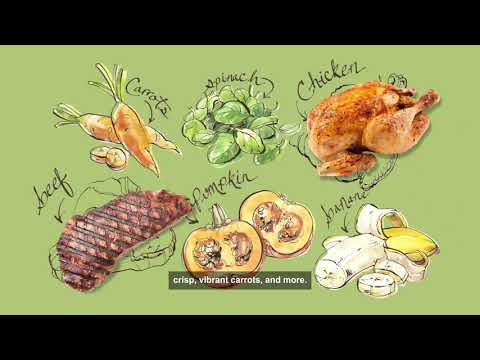 The Honest Kitchen Dehydrated Pet Food | Healthy, Human Grade Dog and Cat Food