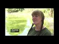 Talking Tortoise TV Flamingos Arrive At Auchingarrich Wildlife Park STV News