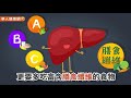 【影音版】補對維生素能護肝？這樣吃不NG！