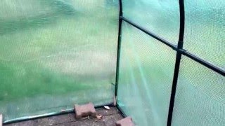 Gewächshaus aus dem Baumarkt! Nie wieder! Billiger geht eine Verarbeitung nicht.