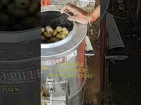 Potato Peeler Machine