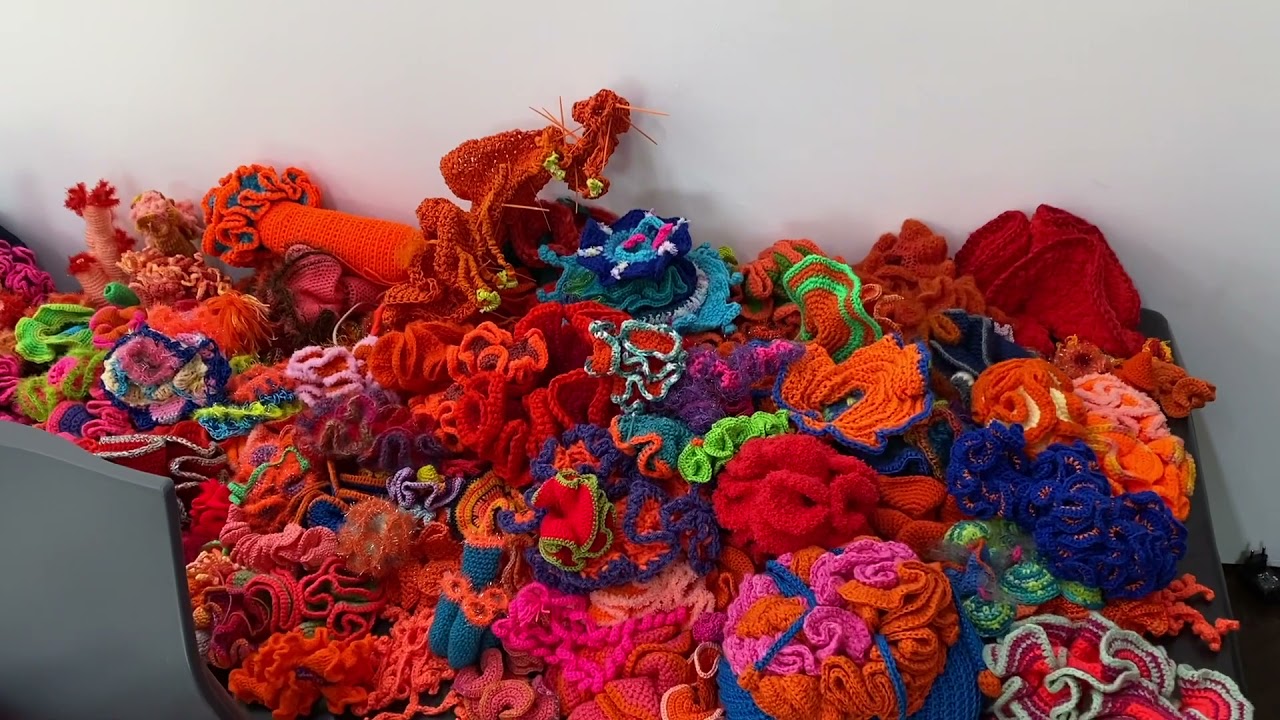 Wert und Wandel der Korallen. Margaret und Christine Wertheim. Vielen Dank für die Teilnahme!