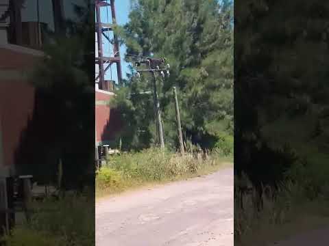 el a.c.a en puerto vilelas!