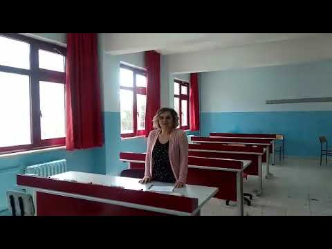 Teaching English in Digital Age Final Critic of our History Teacher