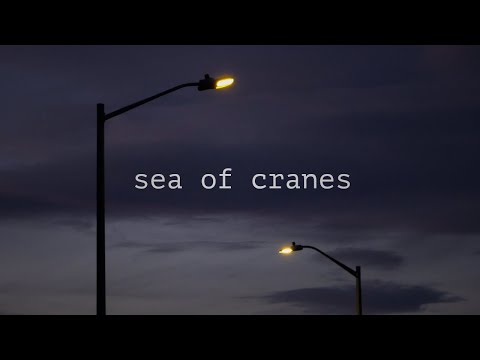 Sea of Cranes