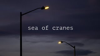 Sea of Cranes - Tone Poem Documentary