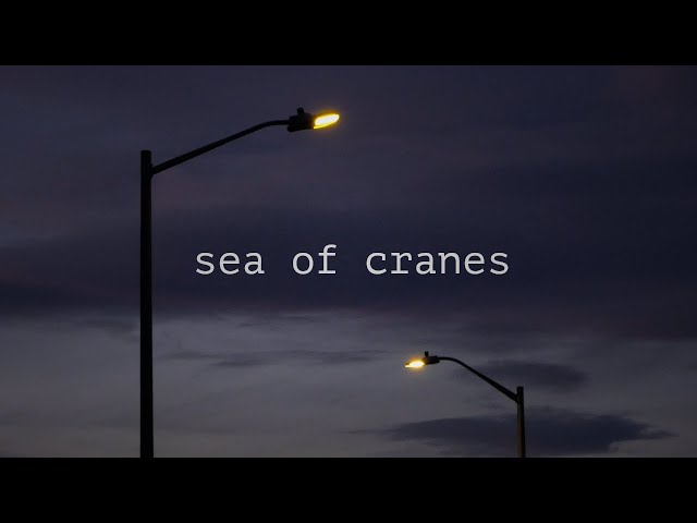 Sea of Cranes - Tone Poem Documentary