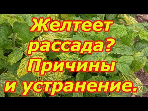 Эндопротез сустава срок службы Как делают блокады при остеохондрозе