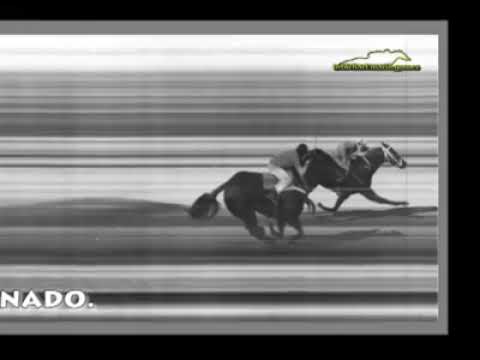 carrera de recuerdo maravilla