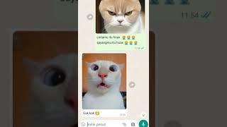 Download lagu cintamu hoax🙅🙅🙅#cute #cat #funny #lovely #lucu #fyp #kitten #hoax #shorts mp3 Download lagu cintamu hoax🙅🙅🙅#cute #cat #funny #lovely #lucu #fyp #kitten #hoax #shorts mp3