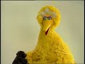 Classic Sesame Street Museum Modern Of Art Picason Statue With Big Bird And Baby Bear