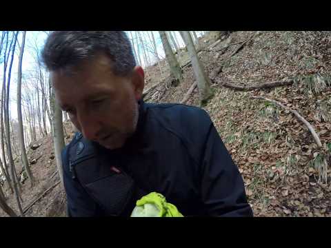 Valea Streiulu si sirul de cascade de pe Șipot  – comoara ascunsă de la Baru Mare