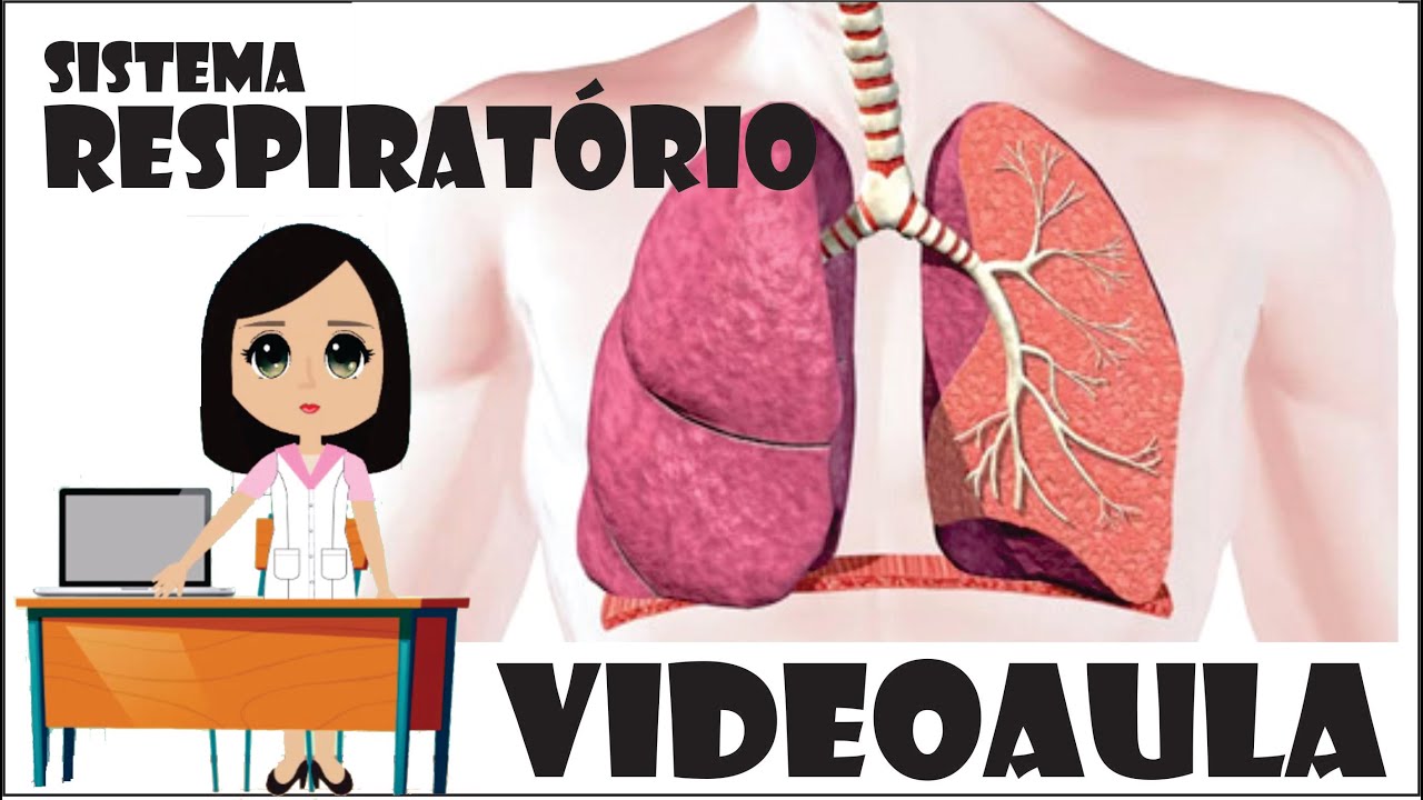 Sistema Respiratório