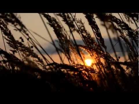 Gem Club - In Wavelengths