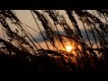 Gem Club - In Wavelengths 
