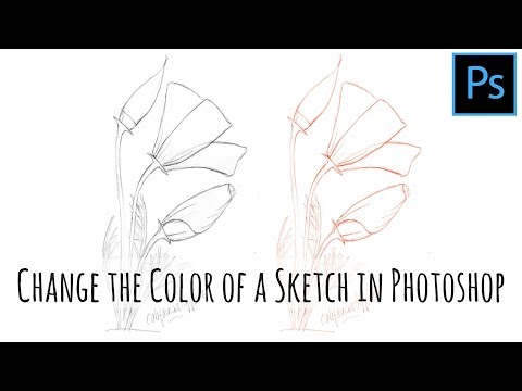 Photoshop - Change the color of a line art sketch