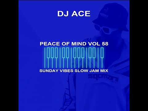 Peace of Mind Vol 58 | Sunday Vibes | Slow Jam Mix | DJ Ace ♠️