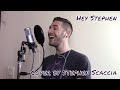 Hey Stephen - Taylor Swift (Cover by Stephen Scaccia)