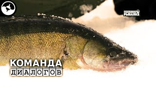Диалоги о рыбалке рыбинское водохранилище зима