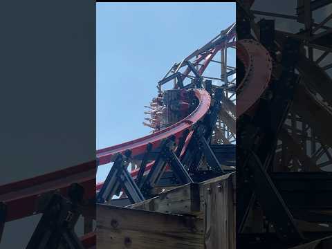 Wildcat’s Revenge Is Now OPEN!!!