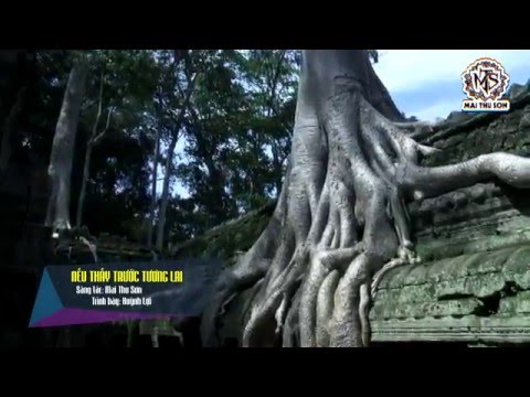 Nếu thấy trước tương lai - Huỳnh Lợi