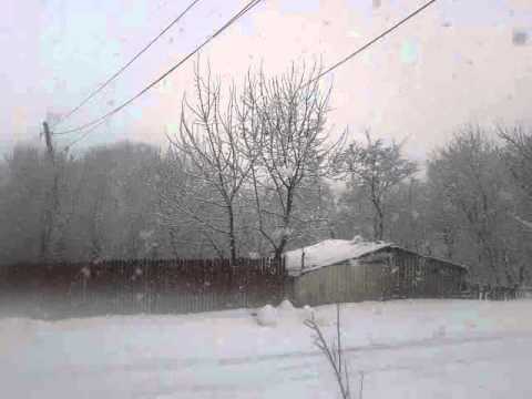 tecucelul sec  iarna