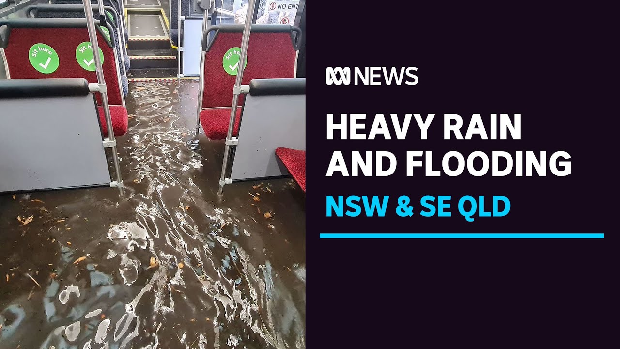 SE Qld, NSW see 'scary' amount of rain as severe weather hits coast | ABC News