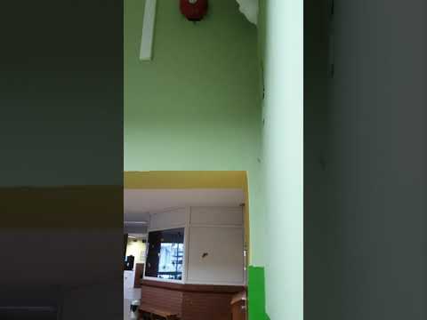 Mokyklinis skambutis ZAMEL DNS-212M video