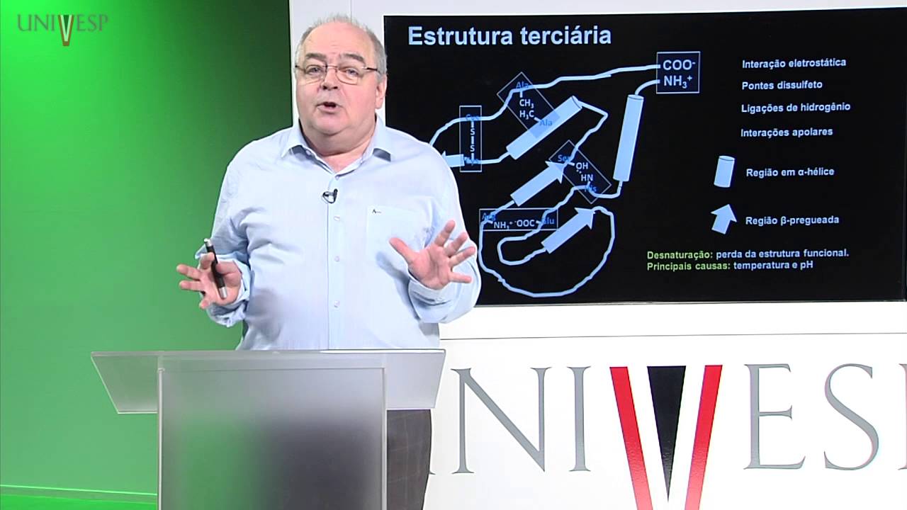 Células e Tecidos - aula 3 - Proteínas e Ácidos Nucléicos