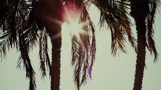 Wellness Tourism video