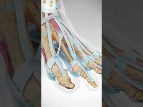 Guess The Spine Injury And Procedure Challenge