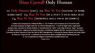 Dina Carroll - Run To You (BT & Paul Van Dyk's 7 Inch Skies Dub)