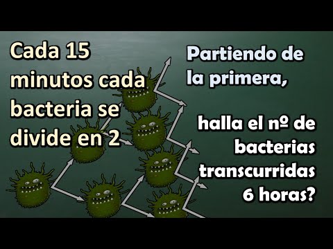 HALLA EL NÚMERO DE BACTERIAS