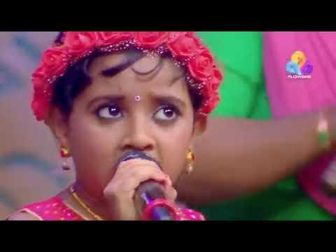 താരക പെണ്ണാളെ|tharaka pennale by vaiga|flowerstv|kochin pandavas|