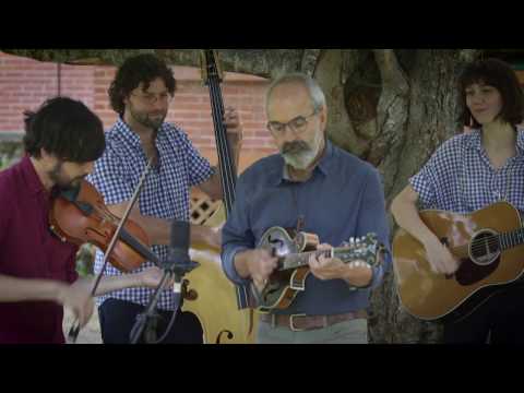 John Reischman & The Taterbugs - NimbleFingers 2016