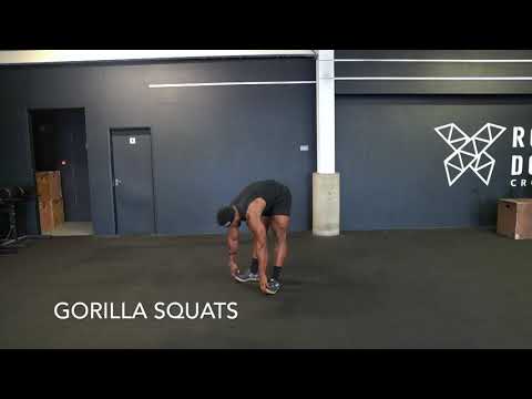 WARM UPS   GORILLA SQUATS