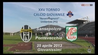 preview picture of video 'Torneo Umbertide 2013 - 2° Partita - Sansepolcro-Ponte Vecchio 3-0'