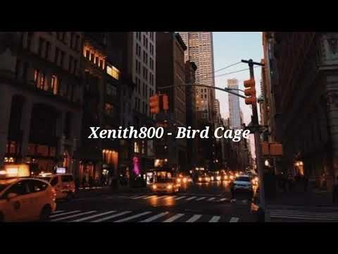 Xenith800 - Bird Cage