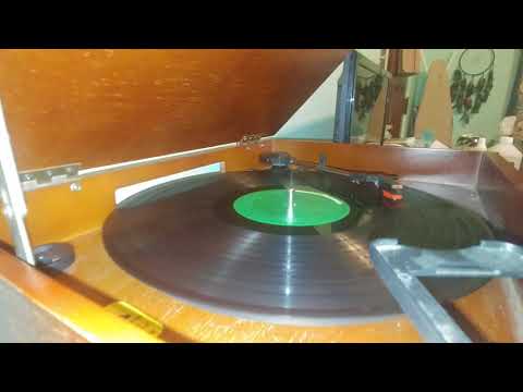 The Detergents- "Leader of the Laundromat" (33 RPM)