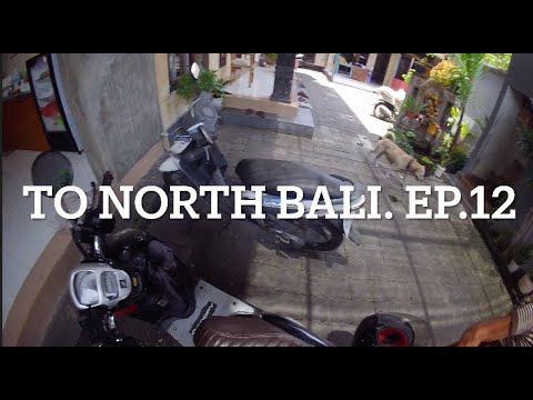 Ep. 12. Road trip. Sat. 15th Nov. 2025. SOUTH BALI TO NORTH BALI. #fly79 #bali #travel #isa
