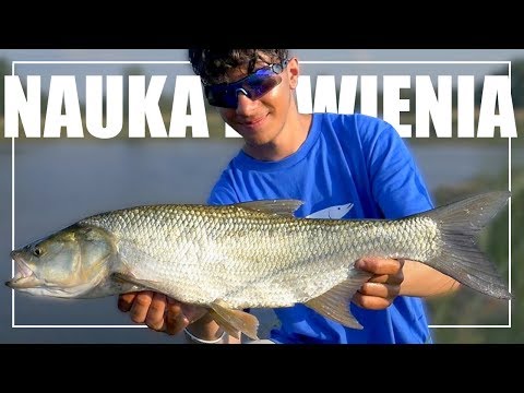 NAUKA ŁOWIENIA BOLENI I KLENI NA SPINNING | Odra Trip