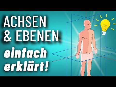 Axes and planes of movement explained simply | Fitness trainer B license